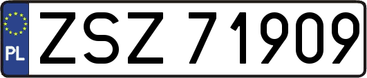 ZSZ71909