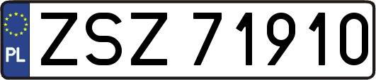ZSZ71910