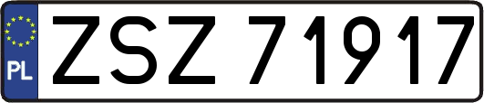 ZSZ71917