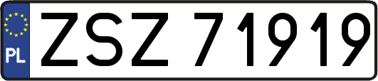 ZSZ71919
