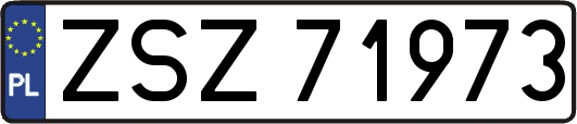 ZSZ71973