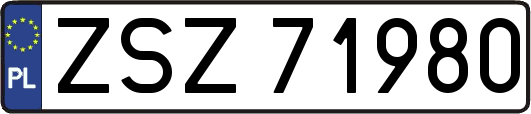 ZSZ71980