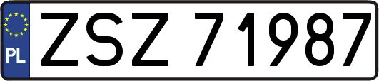 ZSZ71987