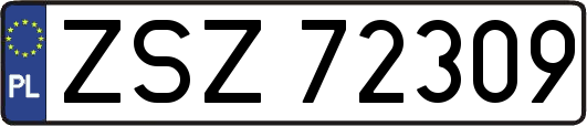 ZSZ72309
