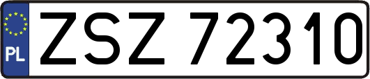 ZSZ72310