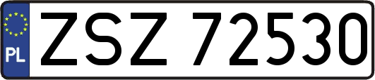 ZSZ72530