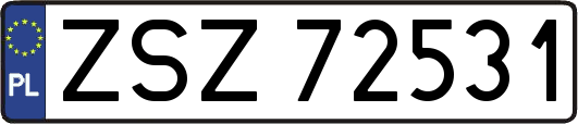 ZSZ72531