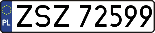 ZSZ72599