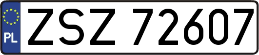 ZSZ72607