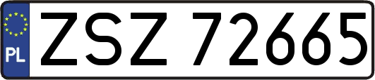 ZSZ72665