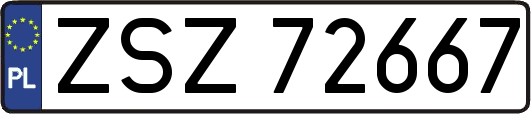ZSZ72667