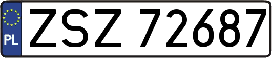 ZSZ72687