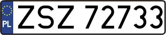 ZSZ72733
