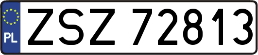 ZSZ72813