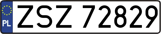 ZSZ72829