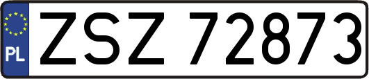 ZSZ72873