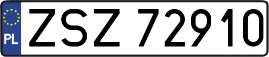 ZSZ72910