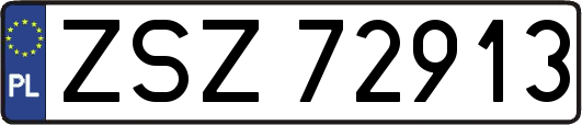 ZSZ72913