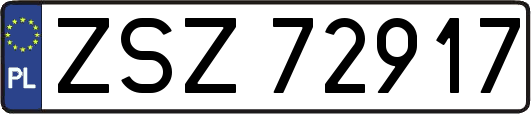 ZSZ72917