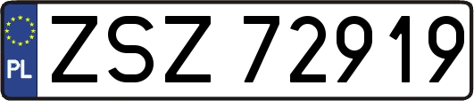 ZSZ72919