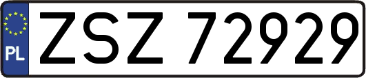 ZSZ72929