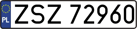 ZSZ72960