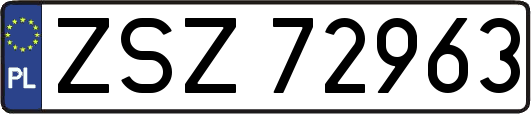 ZSZ72963