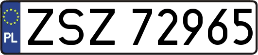 ZSZ72965