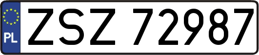 ZSZ72987