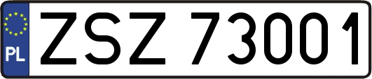 ZSZ73001