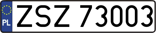 ZSZ73003