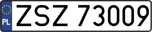 ZSZ73009