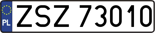 ZSZ73010