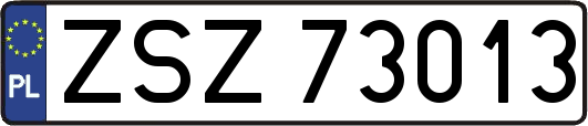 ZSZ73013