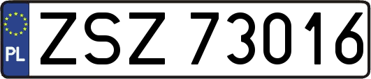 ZSZ73016