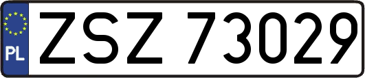 ZSZ73029