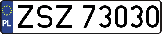 ZSZ73030