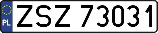 ZSZ73031