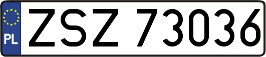ZSZ73036