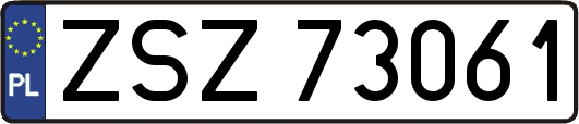 ZSZ73061