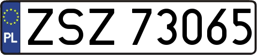 ZSZ73065