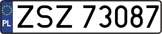 ZSZ73087