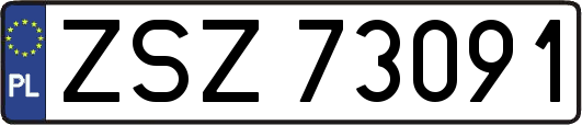 ZSZ73091
