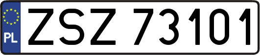 ZSZ73101
