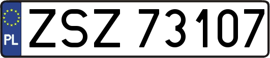 ZSZ73107