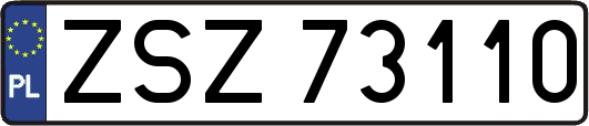 ZSZ73110