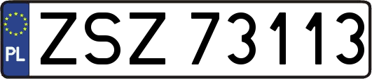 ZSZ73113