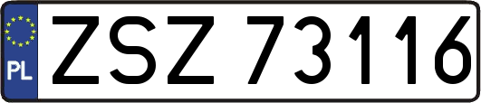 ZSZ73116