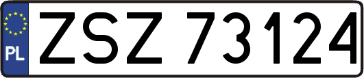 ZSZ73124
