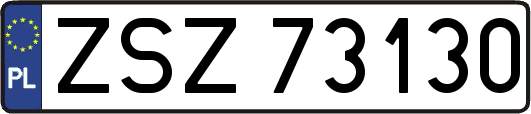 ZSZ73130